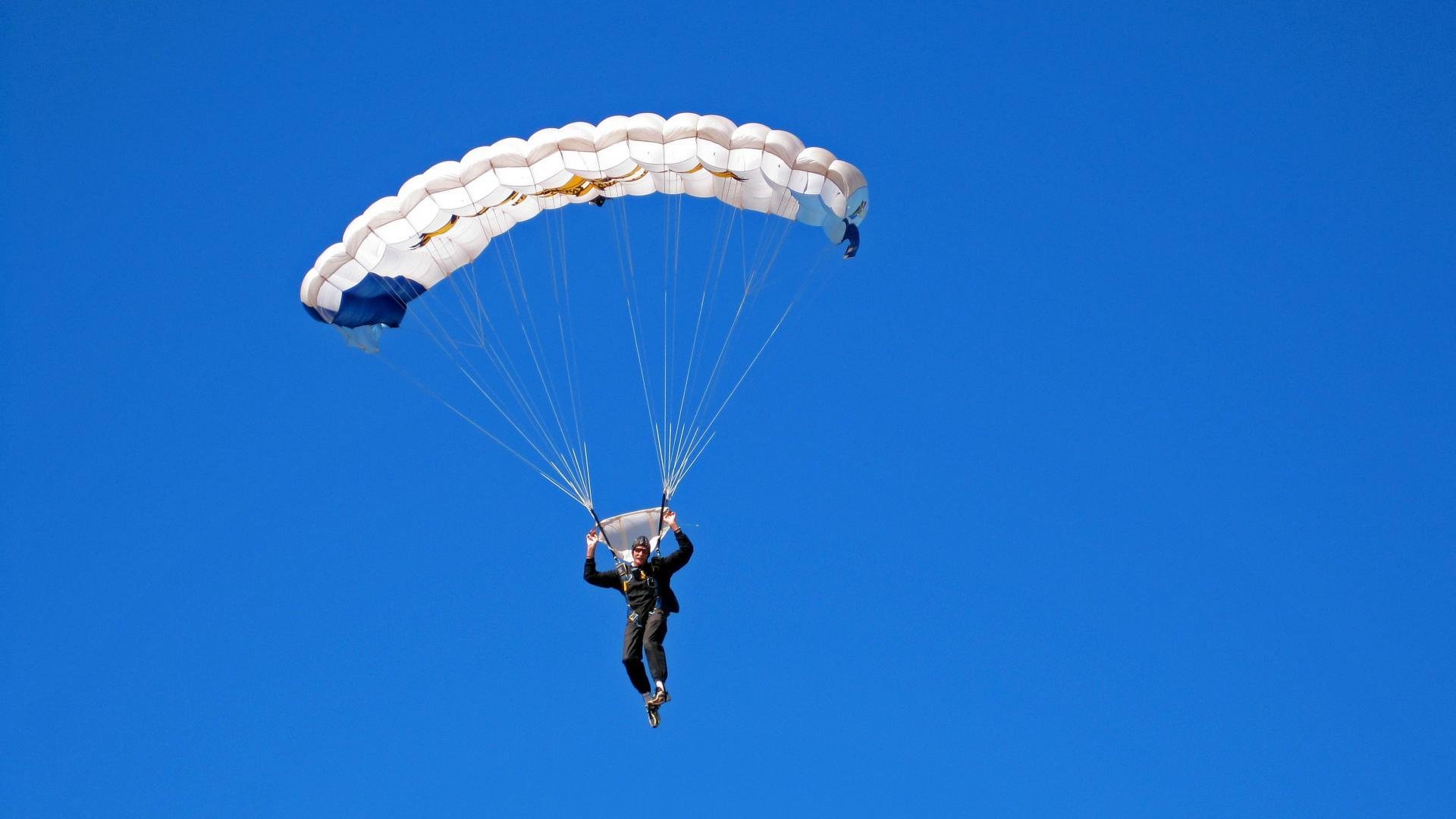 全明星阵容亮相,谁能成为焦点?,全明星阵营